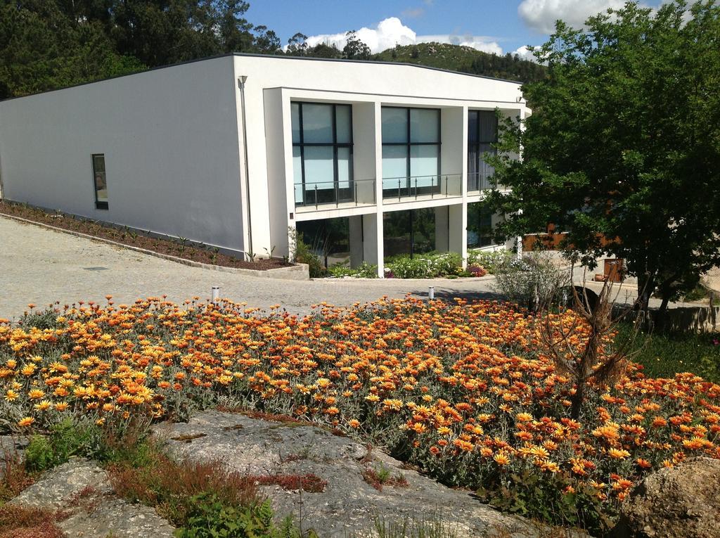 Hotel Douro Vale De Campos ペニャフィエル エクステリア 写真